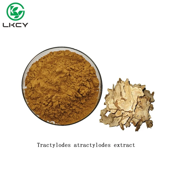 Трактилодес Atractylodes Extract